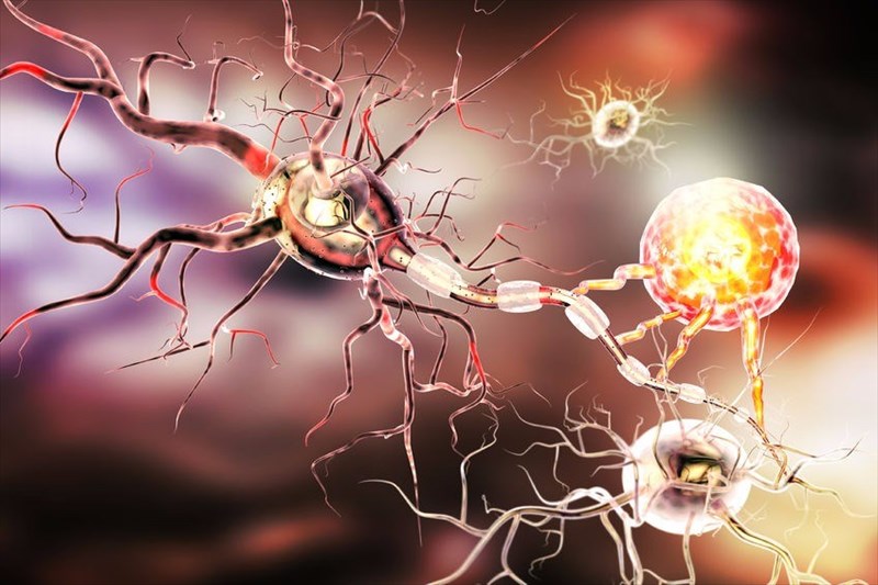 What to Know About Amyotrophic Lateral Sclerosis (ALS)