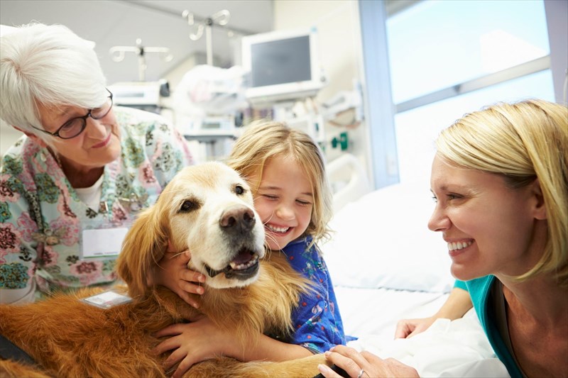 pet-therapy-great-for-social-support-or-can-it-be-an-effective