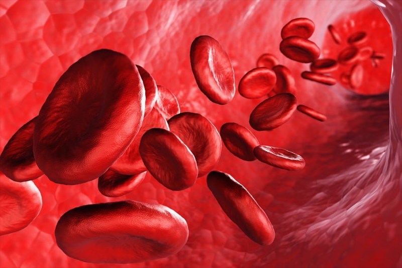 Blood Type Personality: What's your blood group? The answer might
