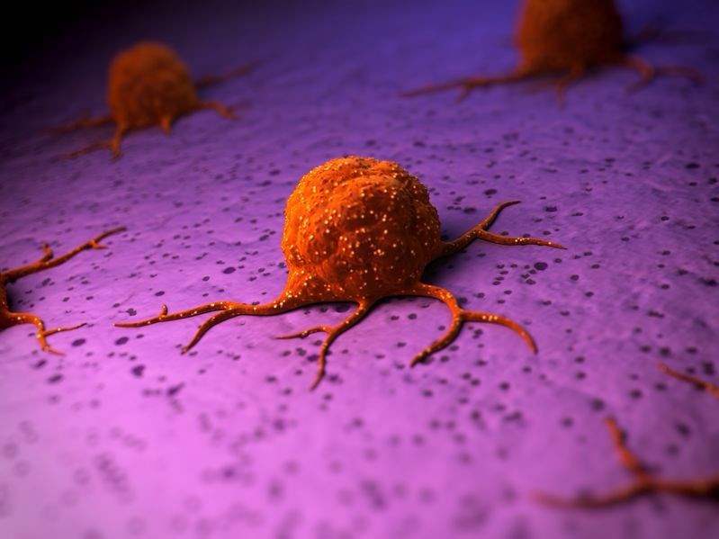 Cancer Cells vs. Normal Cells: How Are They Different?