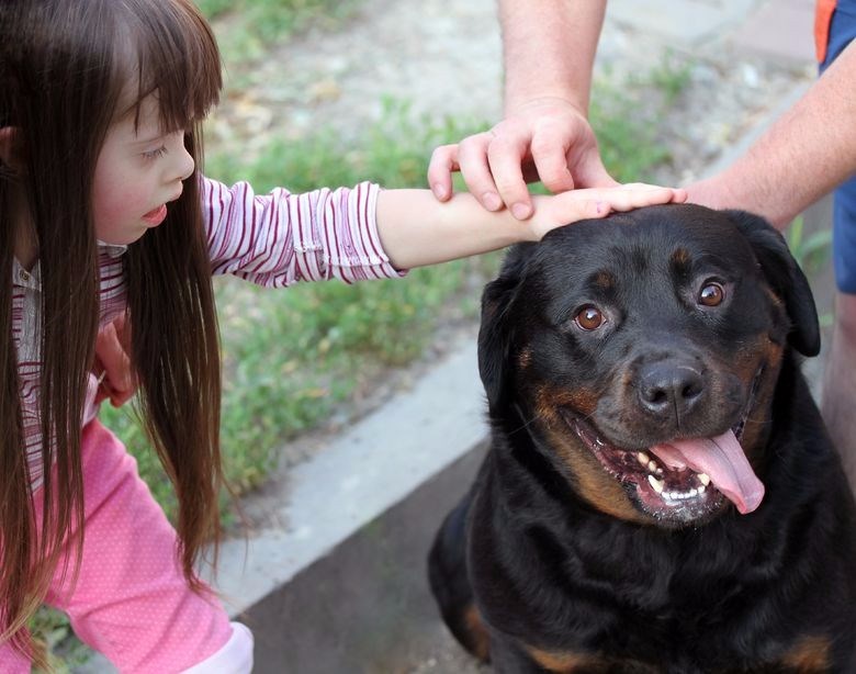 Rottweiler with clearance down syndrome