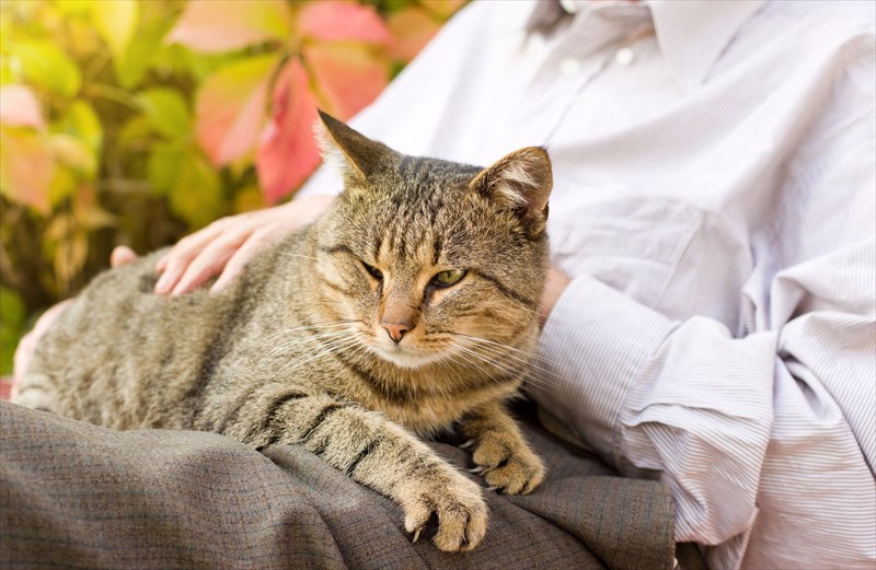 possible-benefits-of-pet-therapy