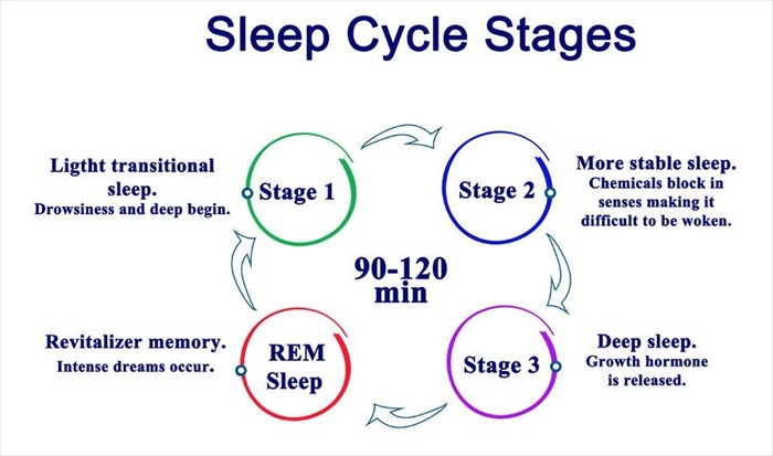 stages of wakefulness