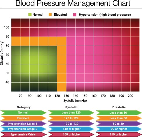 What Is A Blood Pressure Reading And What Do The Two Numbers Mean
