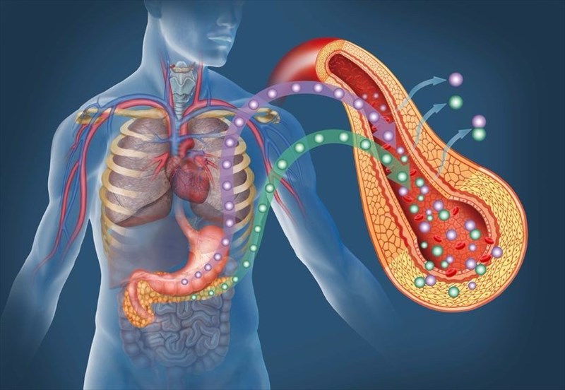 diabetes mellitus type 2